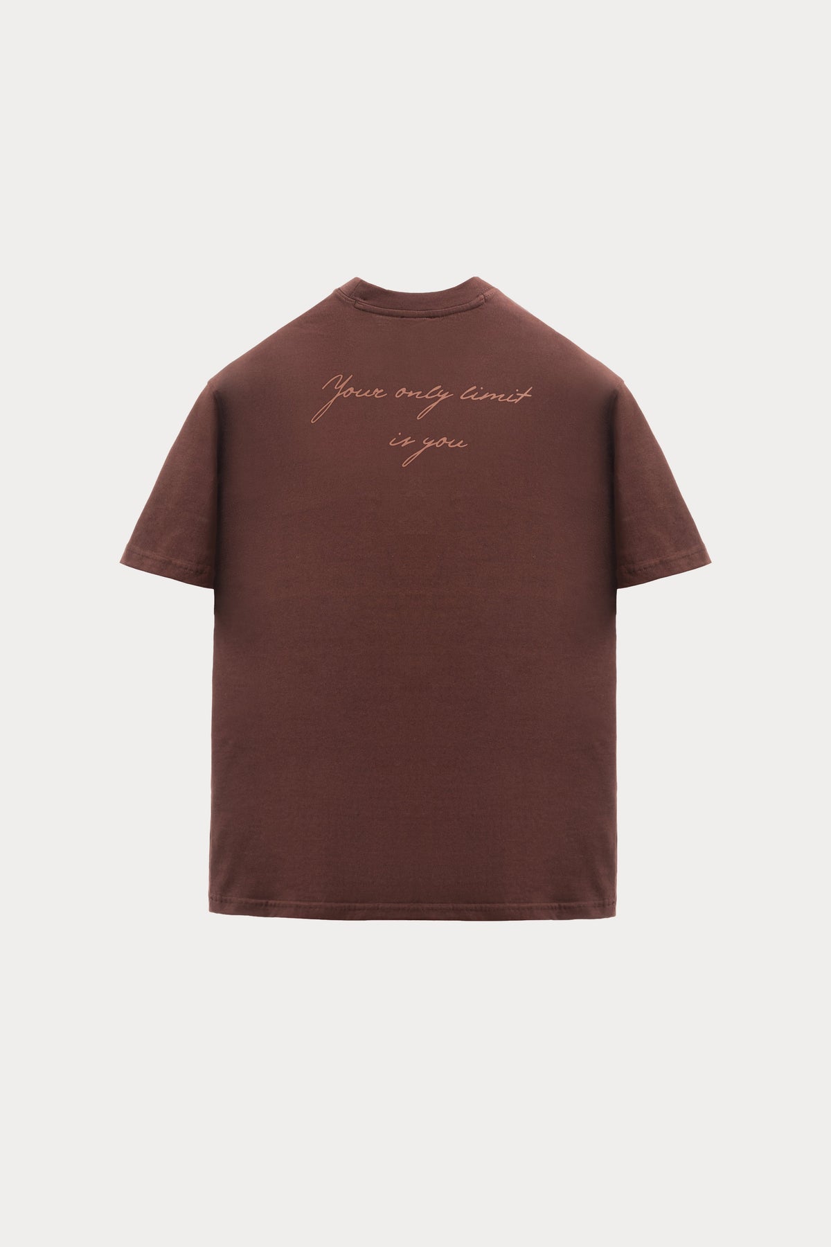 Brown graphic T-shirt by Praise God, back view